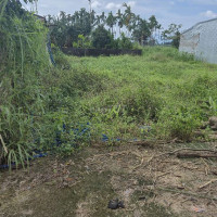 Bán đất tịnh ấn tây