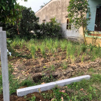 Cần Tiền Bán Lô Đất Ngay Gần Đập Dâng Công An Nghĩa Dũng 200m2