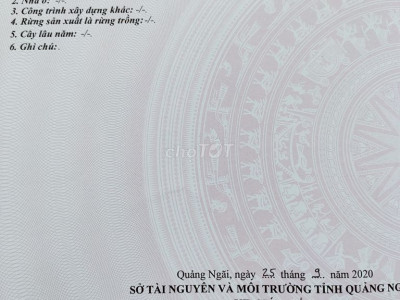 Bán lô đất 950m2 Tịnh An cách quốc lộ 24B 400m