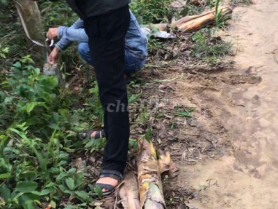 Đất Hành đức, 1.009m² thổ cưn