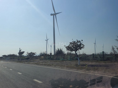 Cần mua đất nông nghiêp