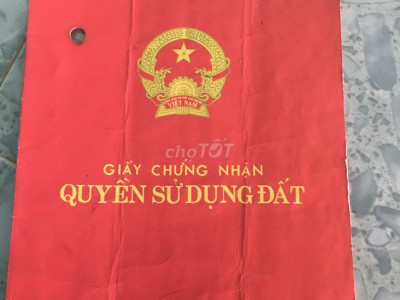 Cần bán gấp đất trồng cây