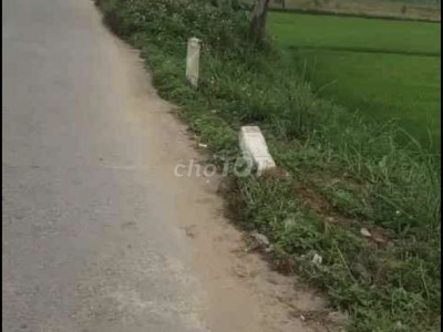 811m2 (200m đất ở) cách cầu Sông Vệ 500m