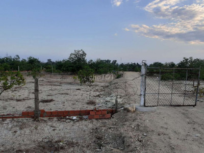 Đất xác mặc tiền