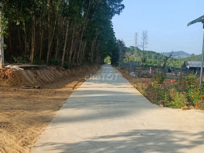 Đất Huyện Sơn Tịnh 11500m²