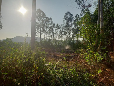 Đất 11509m² Huyện Sơn Tỉnh Thành Phố Quảng Ngãi !!