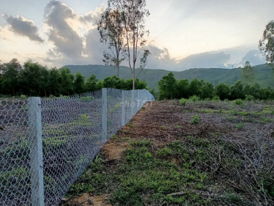 Bán 11.500m2 đất 2 mặt tiền Sơn Tinh Quảng Ngãi