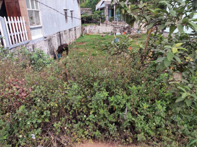 Cần bán lô đất Mặt Tiền đẹp không quy hoạch