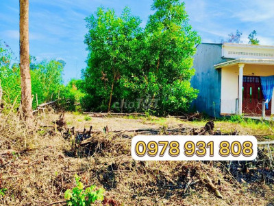 Đất 354.2m², cho ai cần mua đầu tư, xây nhà vườn