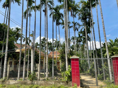 Bán nhà vườn cách thị trấn chợ chùa 6Km