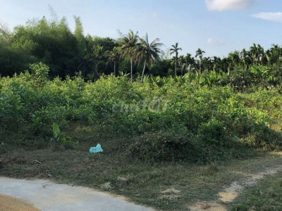 Bán gần 2000m2 đã lên đất ở toàn bộ giá siêu rẻ