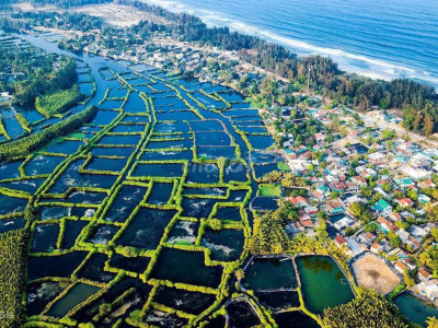 895tr sỡ hữu ngay đất biển Quảng Ngãi