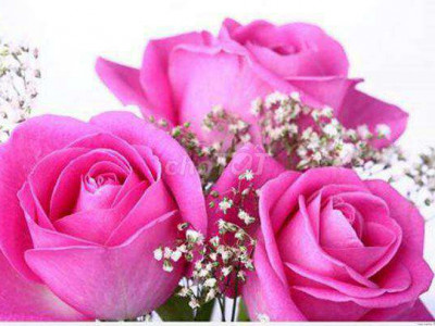 nhà cấp 4 diện tích 150m quảng ngãi