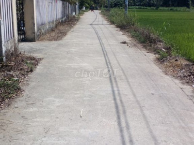 Đất nghĩa dũng thích hợp làm nhà vườn,nhà yến