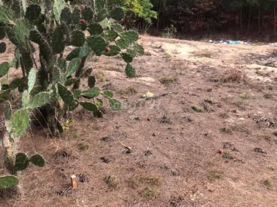 Đất ven biển Dung quất- sa huỳnh