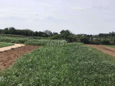 CHIẾT KHẤU 2 CHỈ VÀNG TỪ NAY ĐẾN CUỐI TUẦN