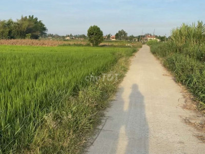 880 m2 đất nông nghiệp Đức Phổ QNgãi giá 190 trieu