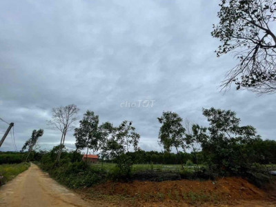 ĐẤT SỔ ĐỎ TỊNH GIANG QUẢNG NGÃI