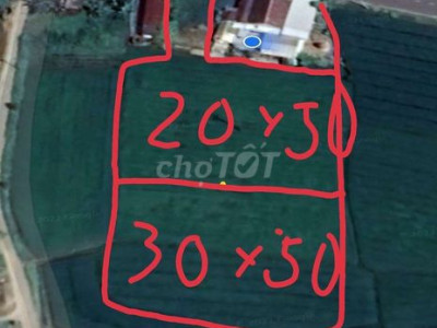 cho thuê 2000m2 giá rẻ 1 năm không lấy tiền thuê