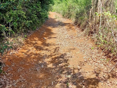 Đất bình Tân phú