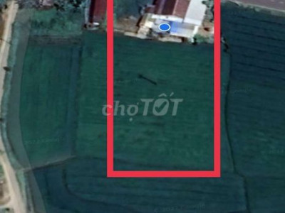 Mình có miếng đất 3000m2 thổ cư cần cho thuê