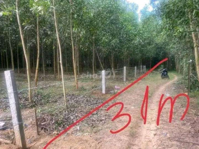 Cần bán lô đất diện tích 1300(m2) có 100(m2) thổ cư giá 299tr liên hệ