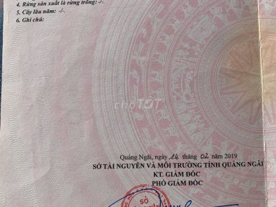 An Lộc Phát Nghĩa Hà Quảng Ngãi 100m2 (5mx20m) đất ở 100%. 700tr TL