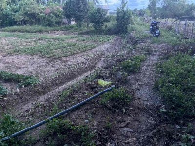 Bán VƯỜN 800m2 Thôn Vĩnh Sơn Tịnh Hoà