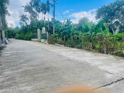 Cần bán 150m2 đất thổ cư tại Hành Trung