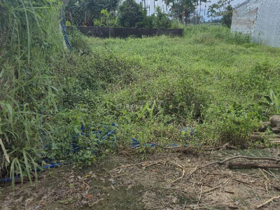 Bán đất tịnh ấn tây