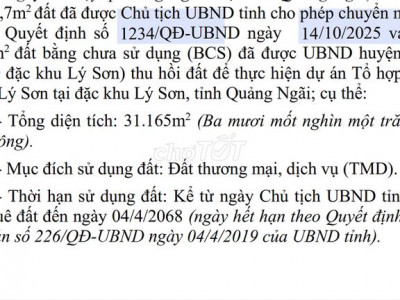 LÝ SƠN BỨT TỐC – “ĐẶC KHU DU LỊCH BIỂN ĐẢO” SẮP HÌNH THÀNH.