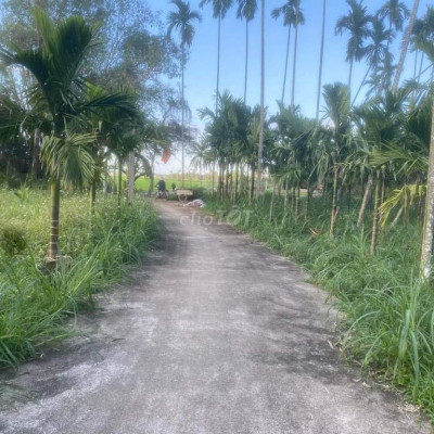 Đất BHK Nghĩa Kỳ