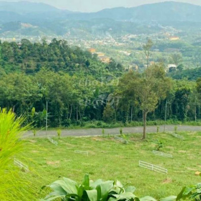 Đất NN (RSX) gần MN lọc dầu Dung Quất Qngai