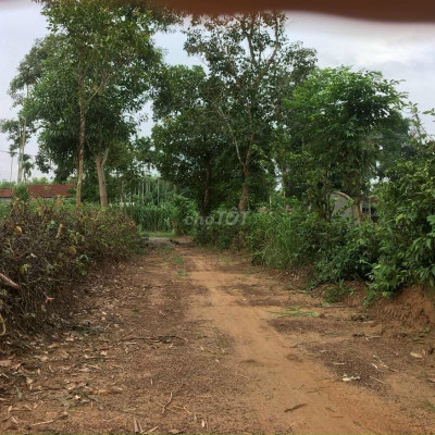 9000m2 đất có 600m2 đất ở Nghĩa Hành chỉ có 65tr/s