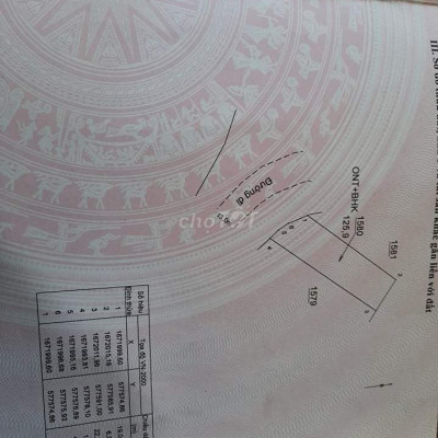 Đất đường nhựa 13 m xã Nghĩa Thuận gần Suối Khoáng