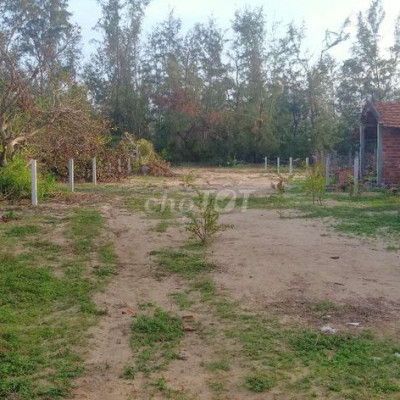 Đất Biển - Đức Minh - Mộ Đức - Quảng Ngãi.