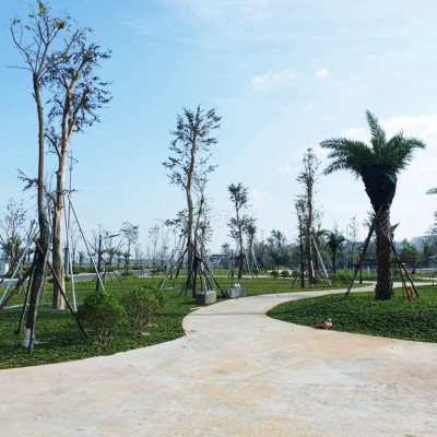 Đất Biển Xây Khách Sạn TP Quảng Ngãi Giai Đoạn Đầu