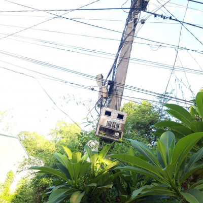 Cần bán kiếm tiền tiêu tết