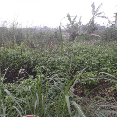 Chủ bán lô đất trên mầm non Sao Mai thị trấn La Hà