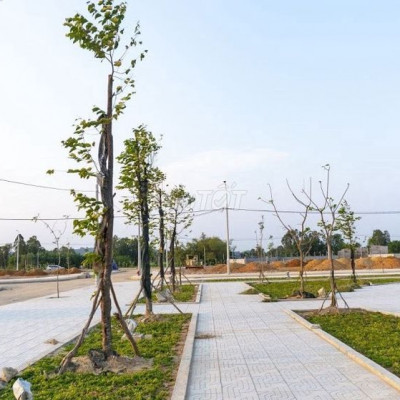 Bán đất An Điền Phát đường Thái Thú 100m2 980triệu