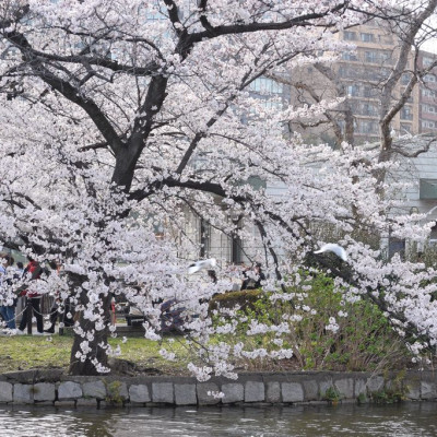 đất nền giá rẻ thị trường quảng ngãi