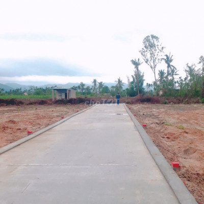 Bán một vài em với giá 200 triệu nhanh tay liên hệ