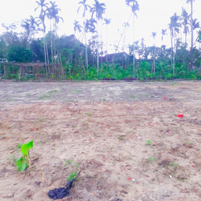 Đất có sổ đỏ 100m2 giá 199 triệu Nghĩa Thuận