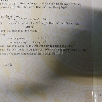 Đất sổ đỏ 2 lô liền cạnh 411 m2 (6 x 68.5) Đức Phổ