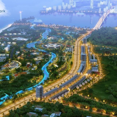 THƯƠNG VỤ BẠC TỶ-ĐẤT BIỂN QUẢNG NGÃI