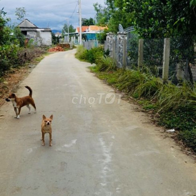 Chính chủ cần chuyển nhượng Đất Phường Phổ Quang
