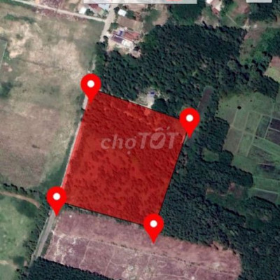 14000m2 đất BHK đường nhựa sát cấp 3 Nghĩa Thuận