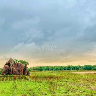 Đất Thành phố Quảng Ngãi 250m² Hướng Tây