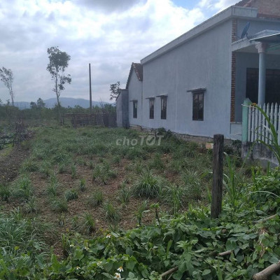 ĐẤT PHỔ PHONG- ĐỨC PHỔ , 200m2=2xx