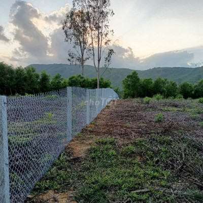 Bán 11.500m2 đất 2 mặt tiền Sơn Tinh Quảng Ngãi